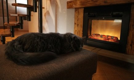 Как найти самое выгодное отопление для дома: расчет стоимости 1 кВт тепла