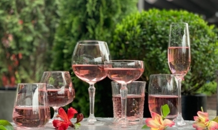 ТОП-5 лучших розовых вин Украины