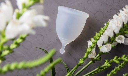 Менструальная чаша: стоит ли переходить на это средство личной гигиены?
