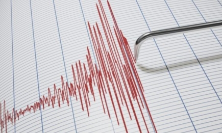В Украине зафиксировано ощутимое землетрясение