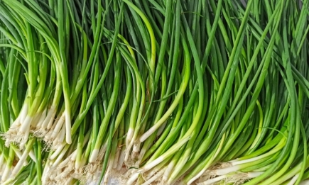 Удивительный трюк: как без забот вырастить на подоконнике килограмм зеленого лука за 2 недели