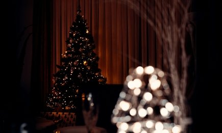 Как правильно наматывать гирлянду на елку: не совершайте эту популярную ошибку