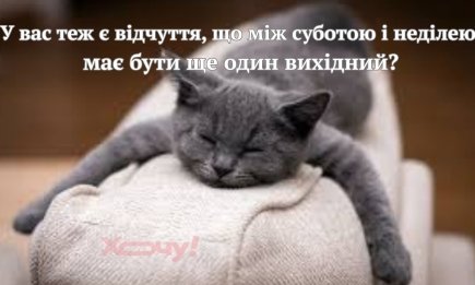 Воскресенье любят только те, кому не нужно в понедельник на работу: мемы и приколы о выходном