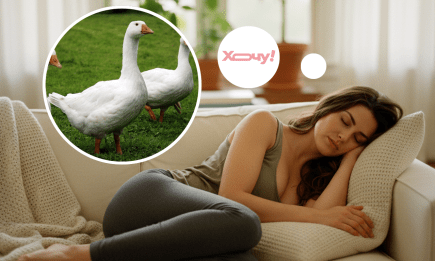 Наснилися гуси: що чекати в реальності після цього сну жінкам і чоловікам — за різними сонниками