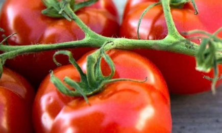 Дайте це помідорам в серпні - не буде куди складати врожай
