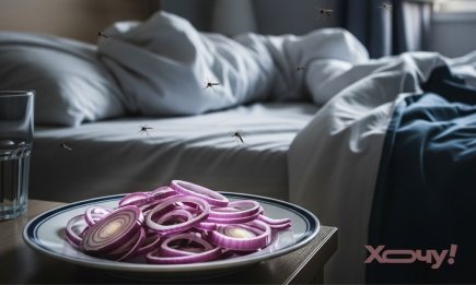 Будете спати, як немовля: як цибуля, помідори чи грейпфрут рятують від комарів? Лайфхак