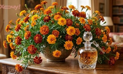 Не уходят с головы и вызывают ностальгию: 3 духи с нежным запахом бархатцев