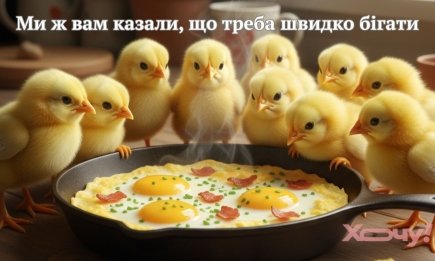 Всесвітній день яйця: приколи та смішні картинки про найкращий суперфуд
