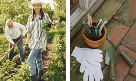 7 садових інструментів, які знадобляться вам цієї весни