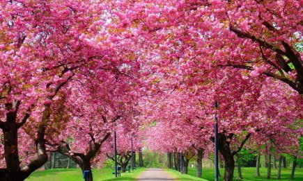 Бюджетно, але розкішно: 5 казкових місць України, куди варто втекти цієї весни (ФОТО)