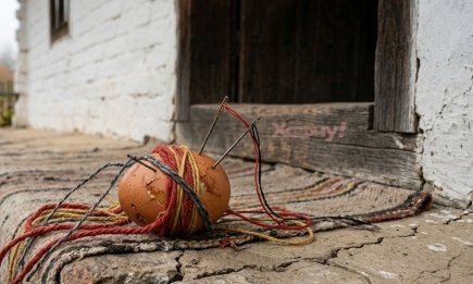 Курица потеряла или подклад на нищету: что делать, если нашли куриное яйцо возле дома