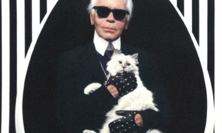 Знаменитая белая кошка Карла Лагерфельда запускает линию одежды в память о дизайнере
