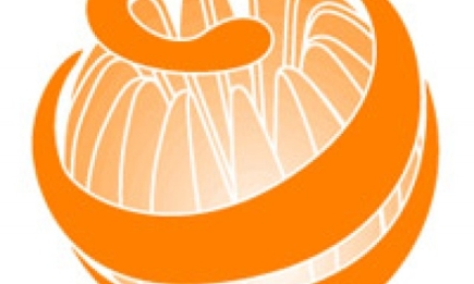 Мандарин – оранжевое чудо с ароматом зимы