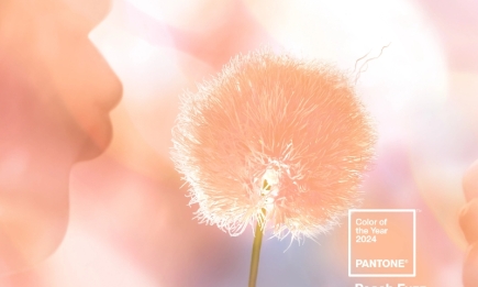 Бархатный персик. Институт Pantone определил главный цвет 2024 года
