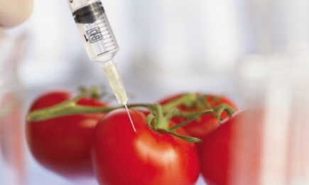 Стоит ли бояться продукты с ГМО: мнение специалиста