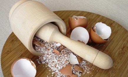 Досвідчені дачники не викидають яєчну шкаралупу: для чого її зберігати