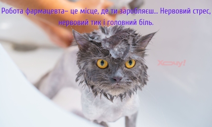 Спостереження зі сторони: енергійніше за всіх на дискотеці танцює син аптекаря: анекдоти, приколи та меми про фармацевтів