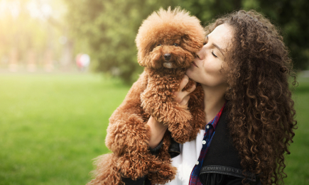 Ви робите людей щасливішими! З Міжнародним днем собак (ФОТО)