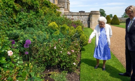 Королеве Елизавете II подарили специальный сорт роз, названный в честь принца Филиппа