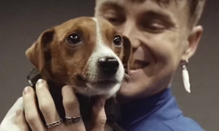 Артем Пивоваров представил дуэт с псом-сапером Патроном для спасения животных
