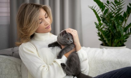 Коли звичайні обійми лякають: 5 причин, чому кіт не хоче сидіти на руках