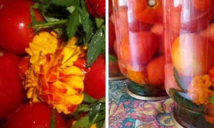 Такого способа вы еще не видели: фантастическая томатная консервация с бархатцами (РЕЦЕПТ)