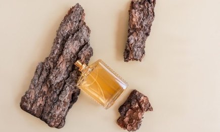 Идеальный выбор для холодного сезона: 5 ароматов с нотой дуба, которые вас очаруют