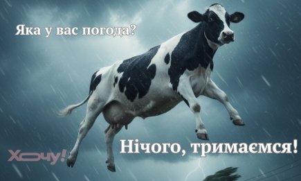Метеорологія наука точна, якщо бубон тримати в лівій руці! Жарти і приколи про синоптиків