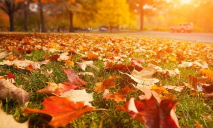 15 кращих пісень про осінь: атмосферна добірка, яка ідеально передає осінній настрій (ВІДЕО)