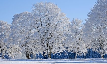 Январь – зеркало года: что нельзя пропустить в первый месяц 2026-го, если хотите знать будущее. Народные приметы