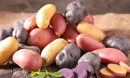 ТОП-10 самых вкусных и урожайных сортов картофеля: сохраните себе на следующий год
