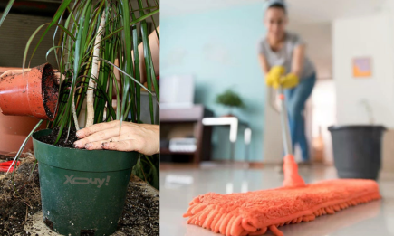 В які дні не можна мити підлогу і пересаджувати вазони, бо накличете бідність: головні заборони грудня