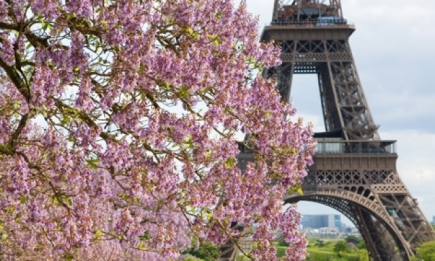 Французская весна в Киеве: расписание мероприятий