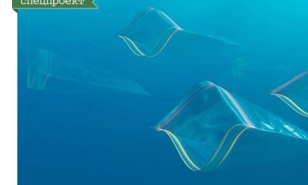 Никакой рыбы – только пластик: как мы уничтожаем океан