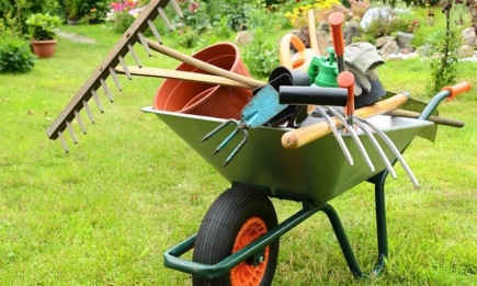 Важные правила: что сделать с садовыми инструментами осенью