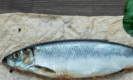 Чтобы купить свежую рыбу, посмотрите ей в глаза: советы по выбору сельди