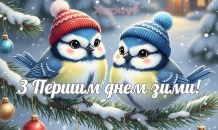 Наконец-то зима! Лучшие поздравления, прикольные открытки и пожелания для всех, кто устал от осени