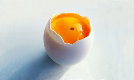 Звідки в яйці береться червона пляма: чи можна готувати такий продукт