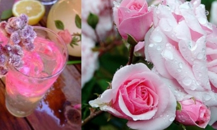 Старо-шотландский коктейль из роз