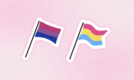 Пансексуальность и бисексуальность – в чем разница?