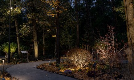 В Украине появилось место, дарящее покой: как выглядит уникальный Терапевтический сад на ВДНХ и что там есть (ФОТО)