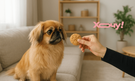 Хрум-хрум! Рецепт смачного печива для вашого собаки