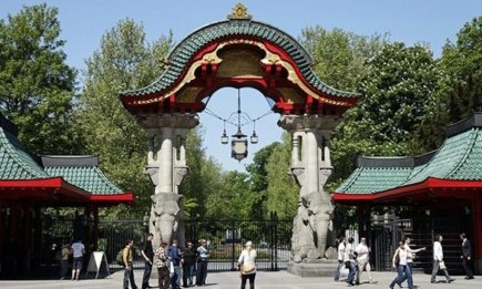 Настоящая терапия для взрослых и детей: почему День "Посетите зоопарк" — это лучший план на выходные