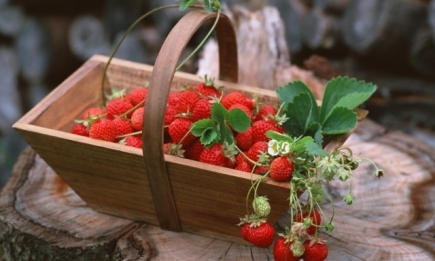 Актуальные рецепты: что приготовить из сезонных продуктов июня (овощи, фрукты, травы)