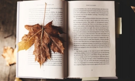 Інтелектуальна осінь: книжкові новинки вересня