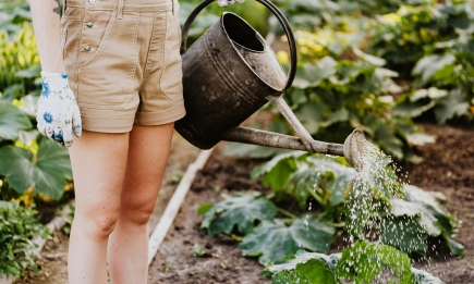 Навіщо поливати рослини милом: як дачники використовують його