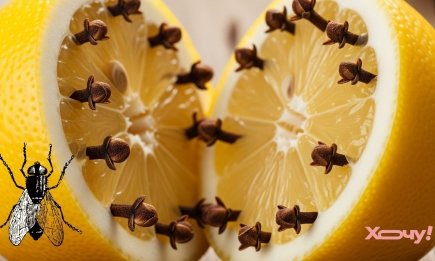 Мухи забудуть дорогу до вашого дому: як один фрукт допоможе їх відлякати