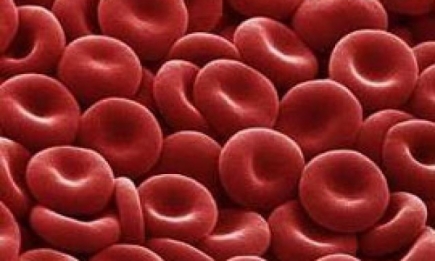 У людей с 2-ой группой крови чаще бывает РАК!