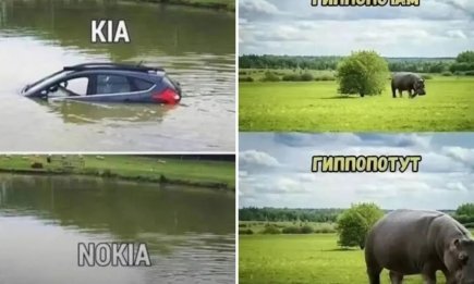 Смех вместо кофе: подборка анекдотов для бодрого утра и хорошего настроения