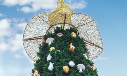Елка в шляпе: как украсили главную елку Украины и почему она стала объектом шуток (ФОТО)
